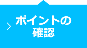 ポイントの確認