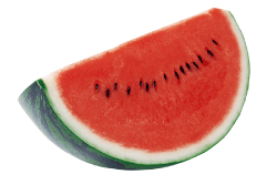 img_01.png